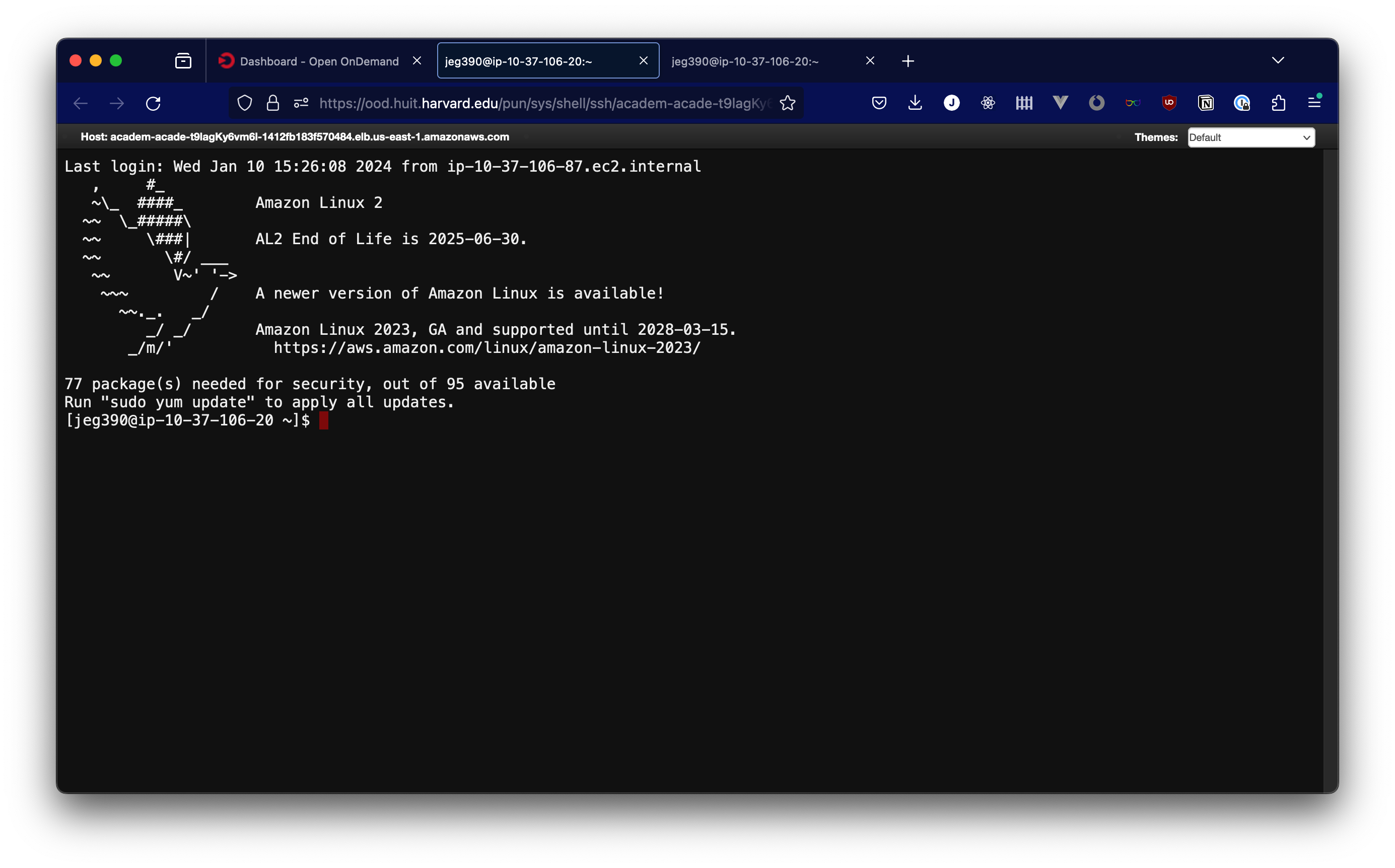 Screenshot showing an active web-based terminal