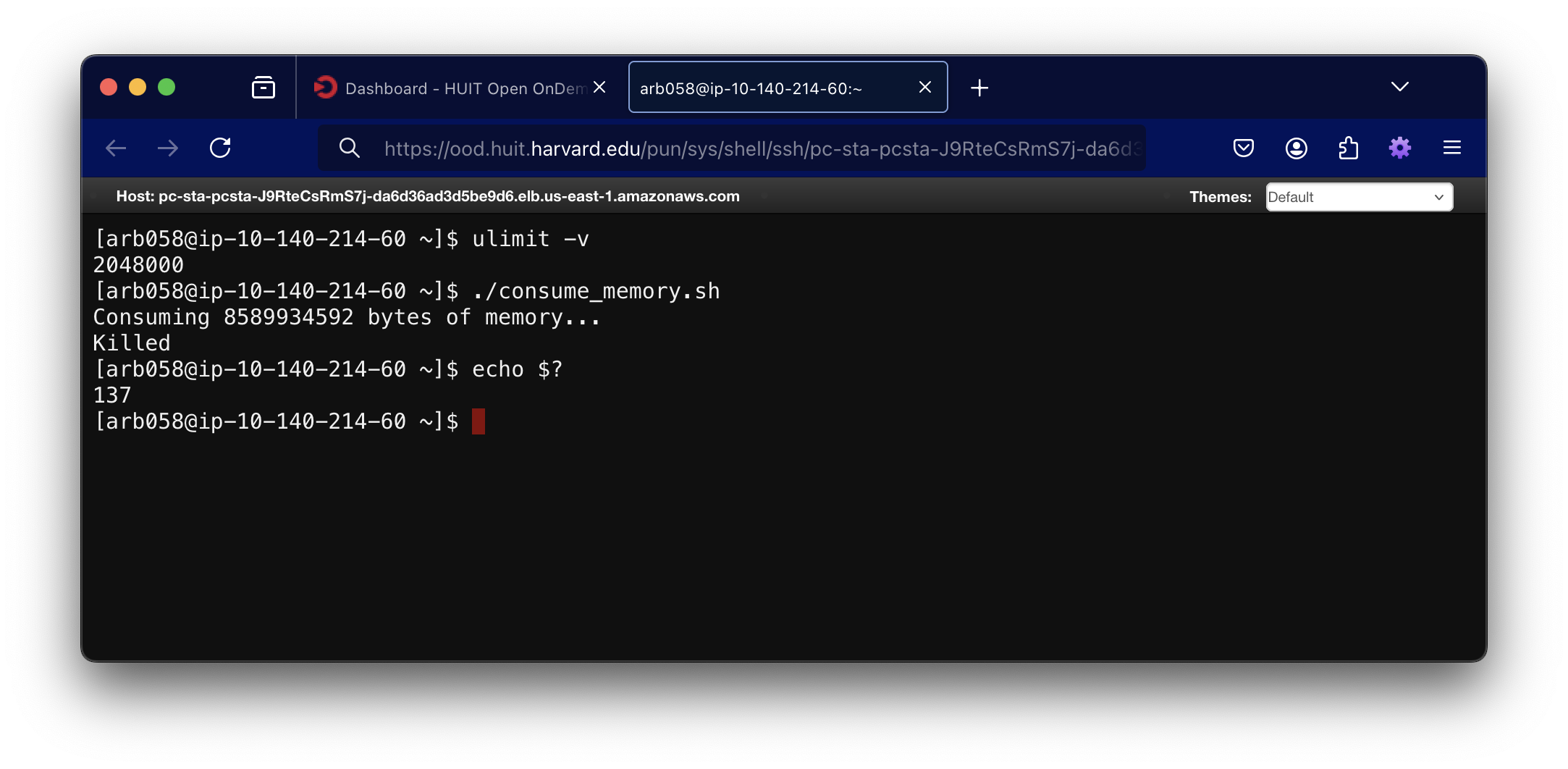 Screenshot showing a terminal process killed by the system for consuming too much memory on the login node